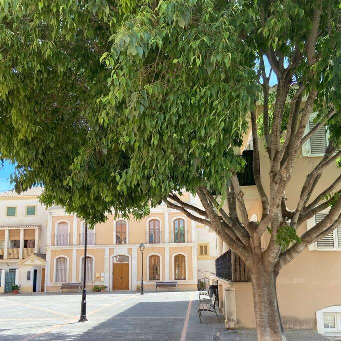 Apartamento Mediterraneo Entre Vinedos Jesus Pobre Buitenkant foto