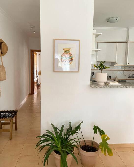 Apartamento Mediterraneo Entre Vinedos Jesus Pobre Buitenkant foto